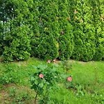 度假居 Garden House 塞拉耶佛