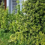 Garden House
