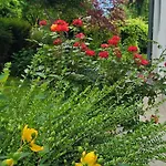 Garden House 塞拉耶佛