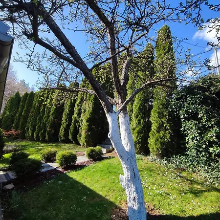 Prázdninový dům Garden House