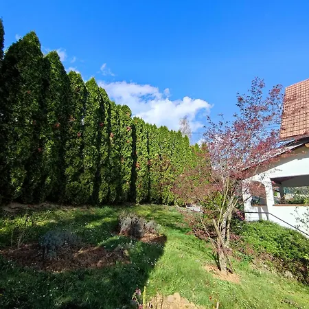 Garden House Tatil Evi Saraybosna