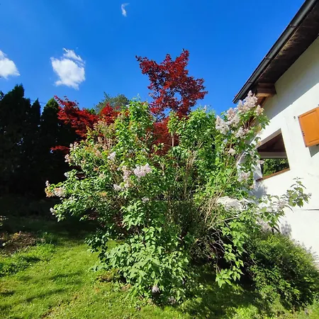 Garden House Dom wakacyjny