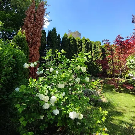 Garden House Sarajevo