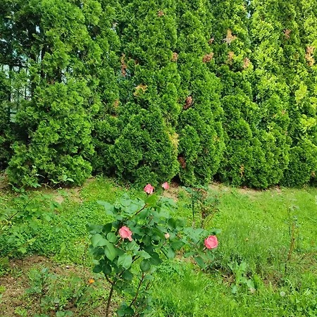 Hébergement de vacances Garden House Sarajevo