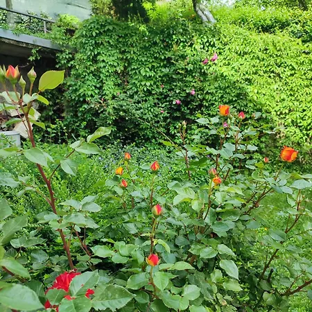 Garden House Sarajewo