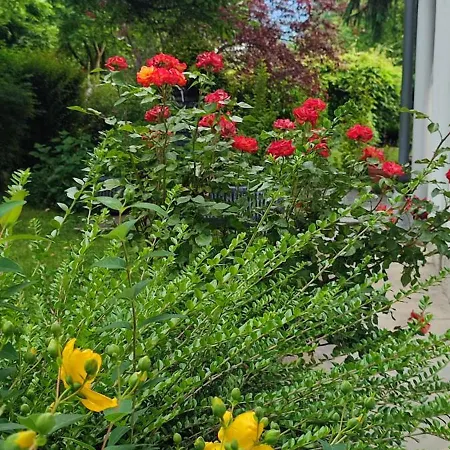 Garden House Sarajevo