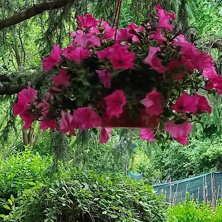 Garden House Sarajevo