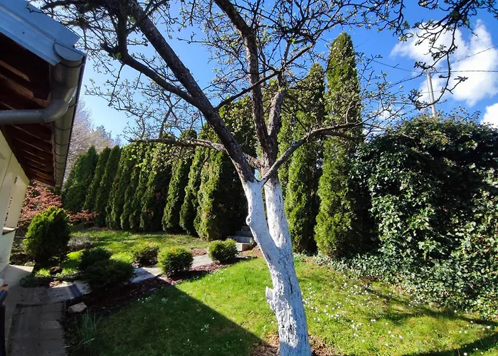 Prázdninový dům Garden House