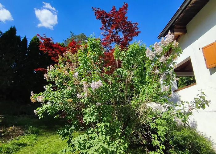 Garden House Prázdninový dům