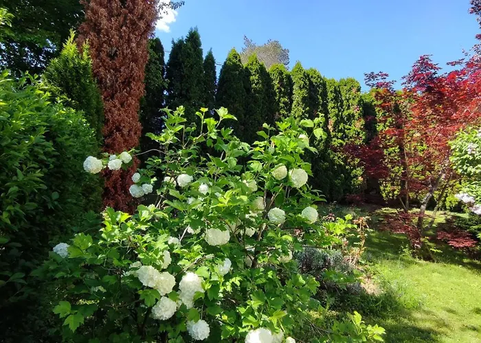 Garden House Sarajevo