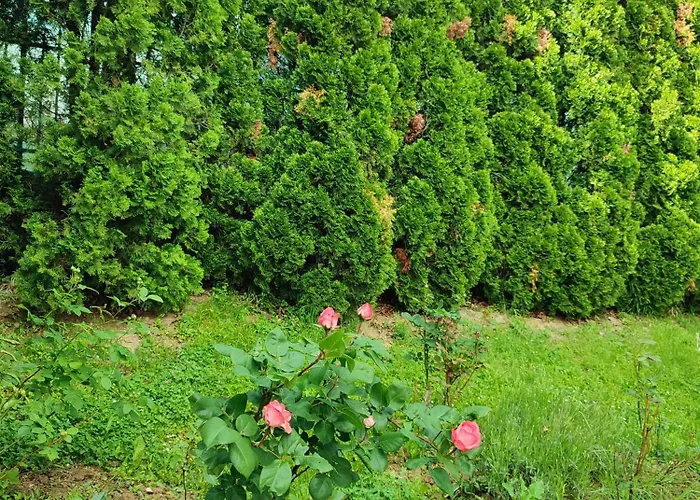 Prázdninový dům Garden House Sarajevo