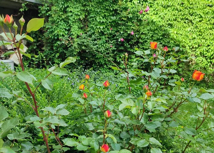 Garden House Sarajevo