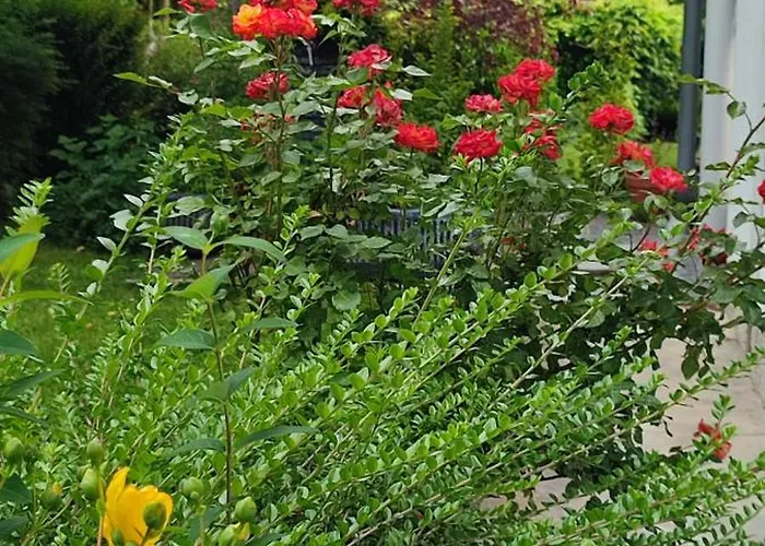 Garden House Sarajevo