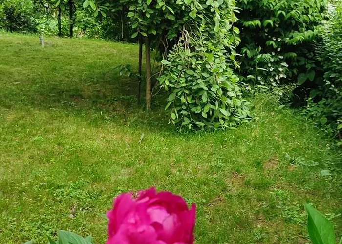 Garden House Prázdninový dům