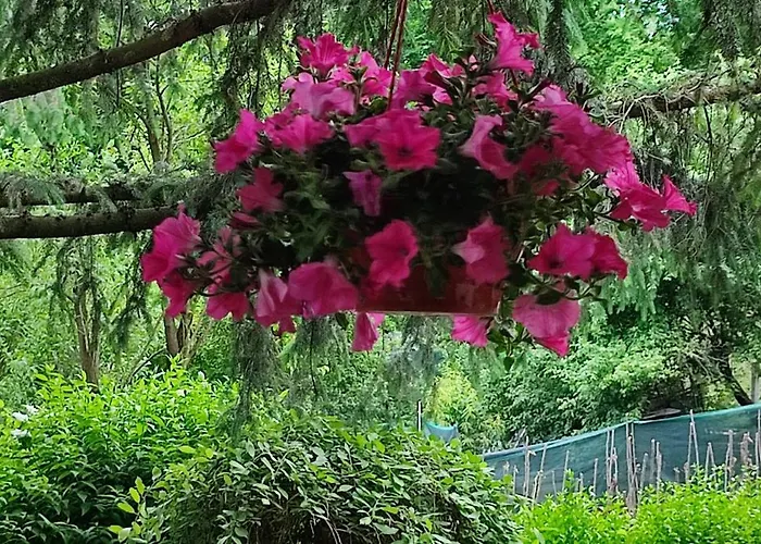 Garden House Sarajevo